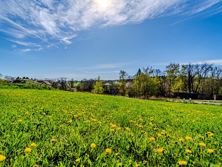 Grundstück zum Kauf, 943 m² (4 von 23)