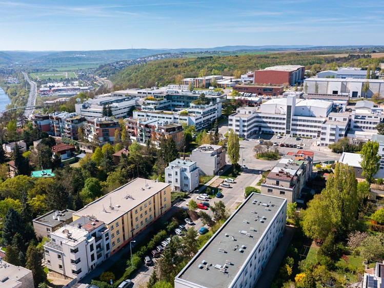 Haus zum Kauf, 200 m² (6 von 47)