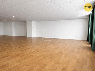 Pronájem komerčního prostoru, 125 m² (2 z 10)