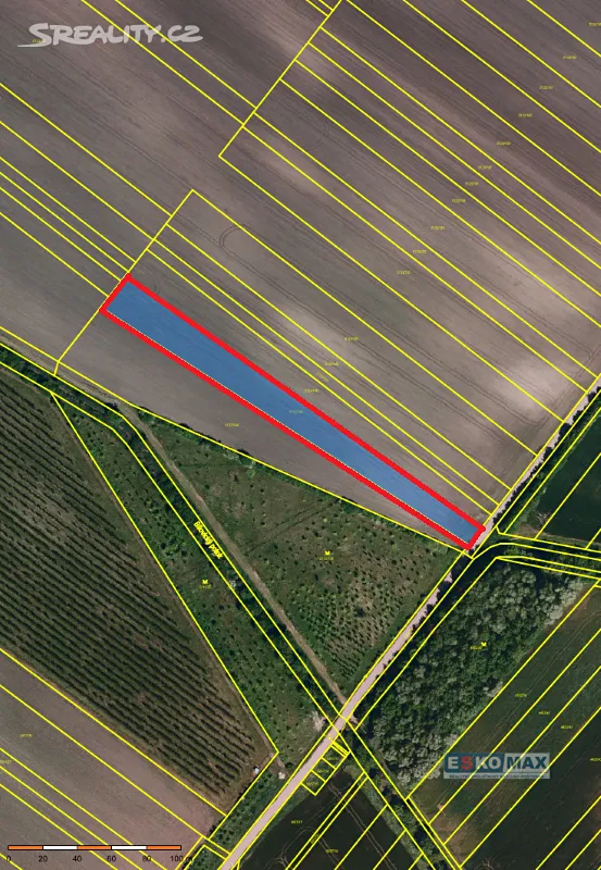 Prodej pole 4600 m²