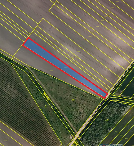 Prodej pole 4600 m², Velké Bílovice – náhled fotky 1