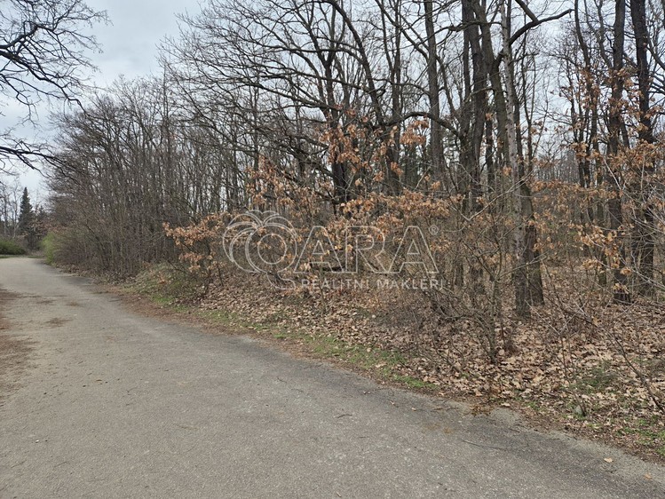 Pronájem pozemku, 2 000 m² (23 z 29)