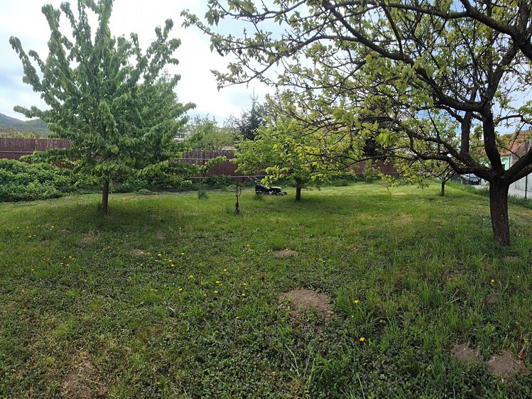 Ostatní