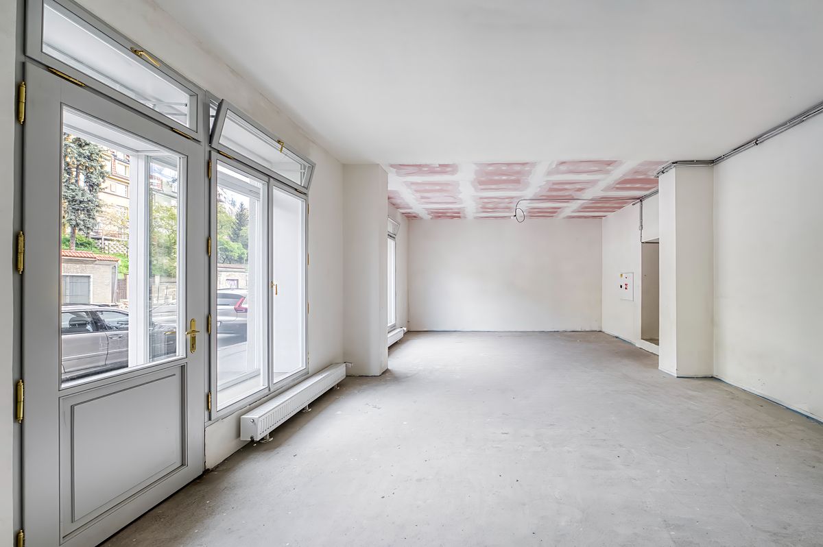 Prodej obchodního prostoru 121 m² – fotografie 3
