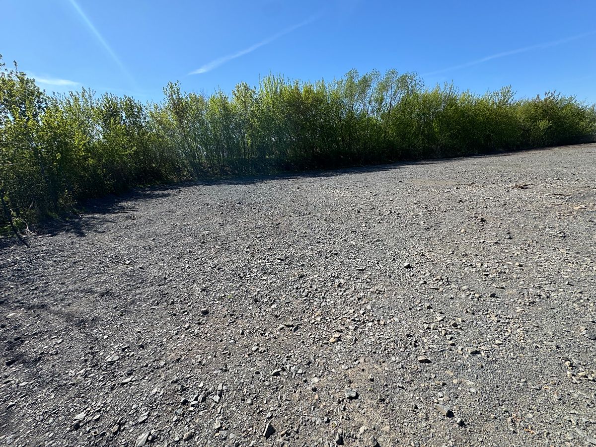 Pronájem komerčního pozemku 4000 m² – fotografie 4