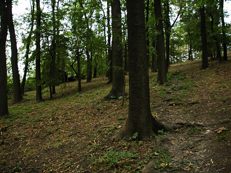 Prodej pozemku, 982 m² (17 z 21)