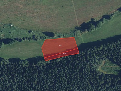 Prodej  pole 2 125 m²