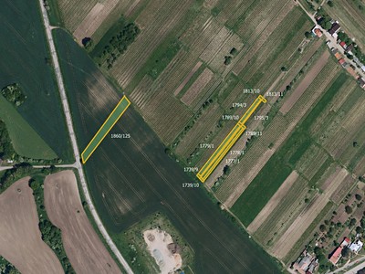 Prodej  pole 6 090 m²