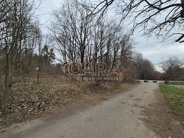 Pronájem pozemku, 2 000 m² (24 z 29)