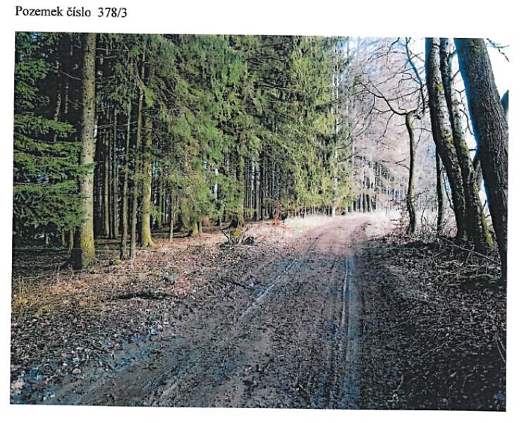 Prodej lesa 21716 m² – fotografie 3