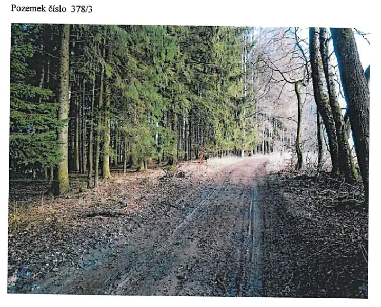 Prodej lesa 21716 m², Ždírec nad Doubravou – náhled fotky 3