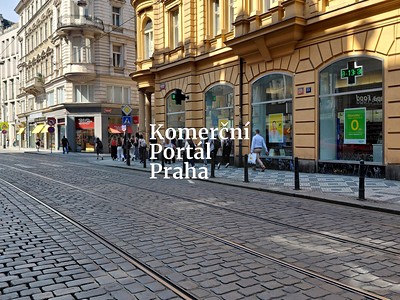 Pronájem obchodního prostoru 273 m² — photo 2