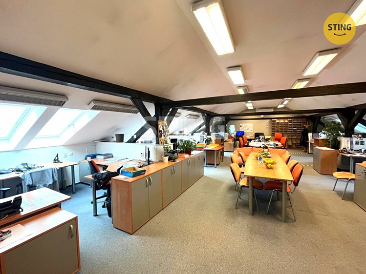 Pronájem komerčního prostoru, 280 m² (3 z 18)