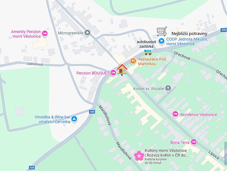 Ostatní