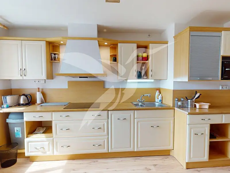 Pronájem bytu 3+1 150 m², Plzeň – náhled fotky 1