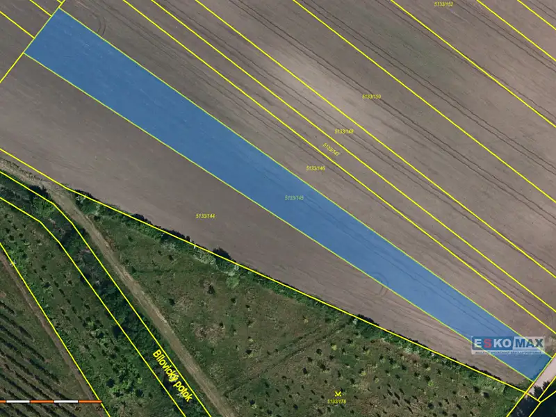 Prodej pole 4600 m², Velké Bílovice – náhled fotky 2