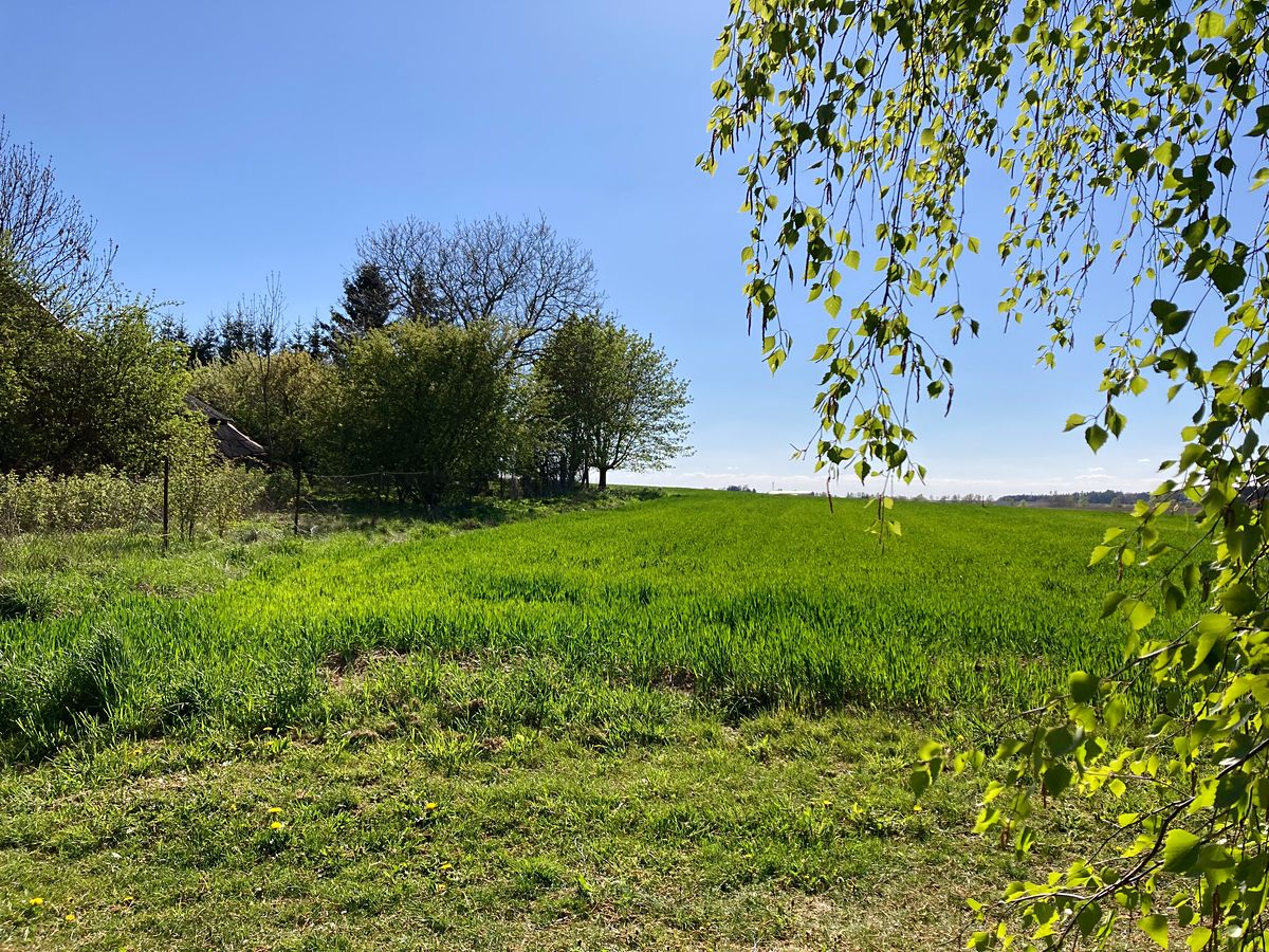 Prodej stavebního pozemku 1153 m² – fotografie 2