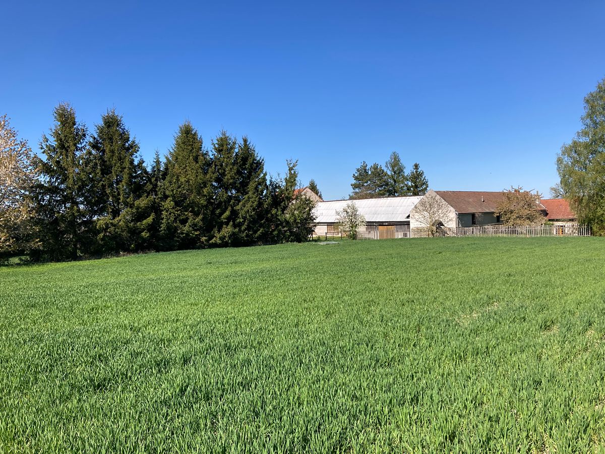 Prodej stavebního pozemku 1153 m² – fotografie 5