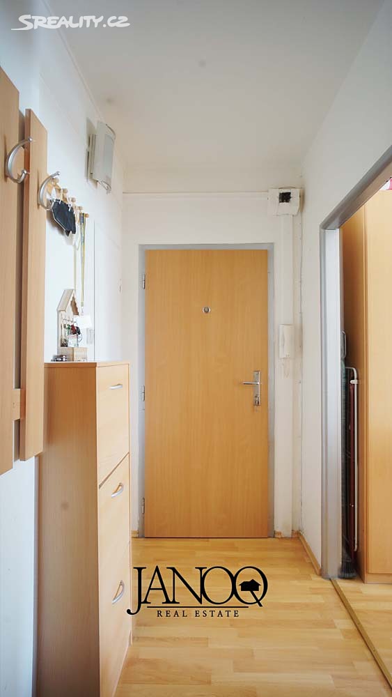 Pronájem bytu 1+1 38 m² – další