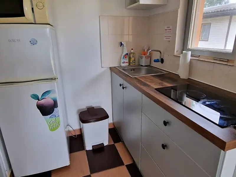 Prodej ubytovacího zařízení 170 m², Stráž – náhled fotky 3