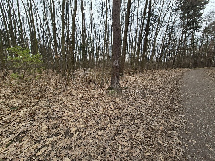 Pronájem pozemku, 2 000 m² (16 z 29)