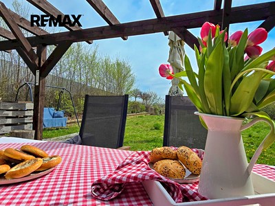 Prodej  zahrady 1 466 m² — photo 4