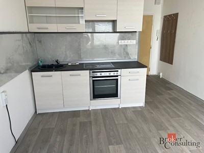 Pronájem bytu 1+1 37 m²