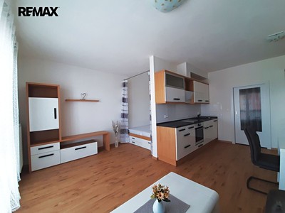 Pronájem bytu 1+kk 45 m²