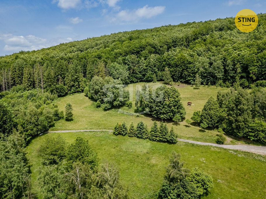 Prodej stavebního pozemku 22090 m² – fotografie 3