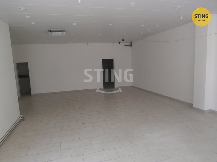 Комерційне приміщення в оренду, 240 м² (4 з 25)