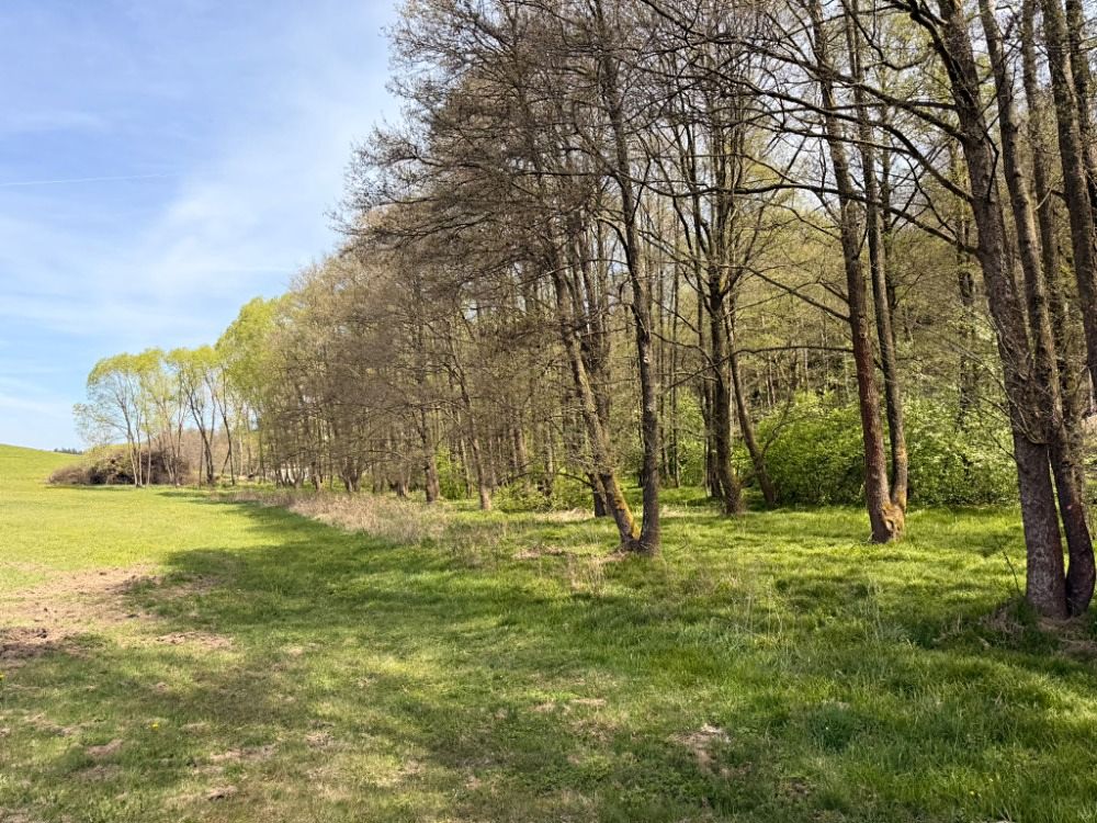Prodej pozemku 11576 m²