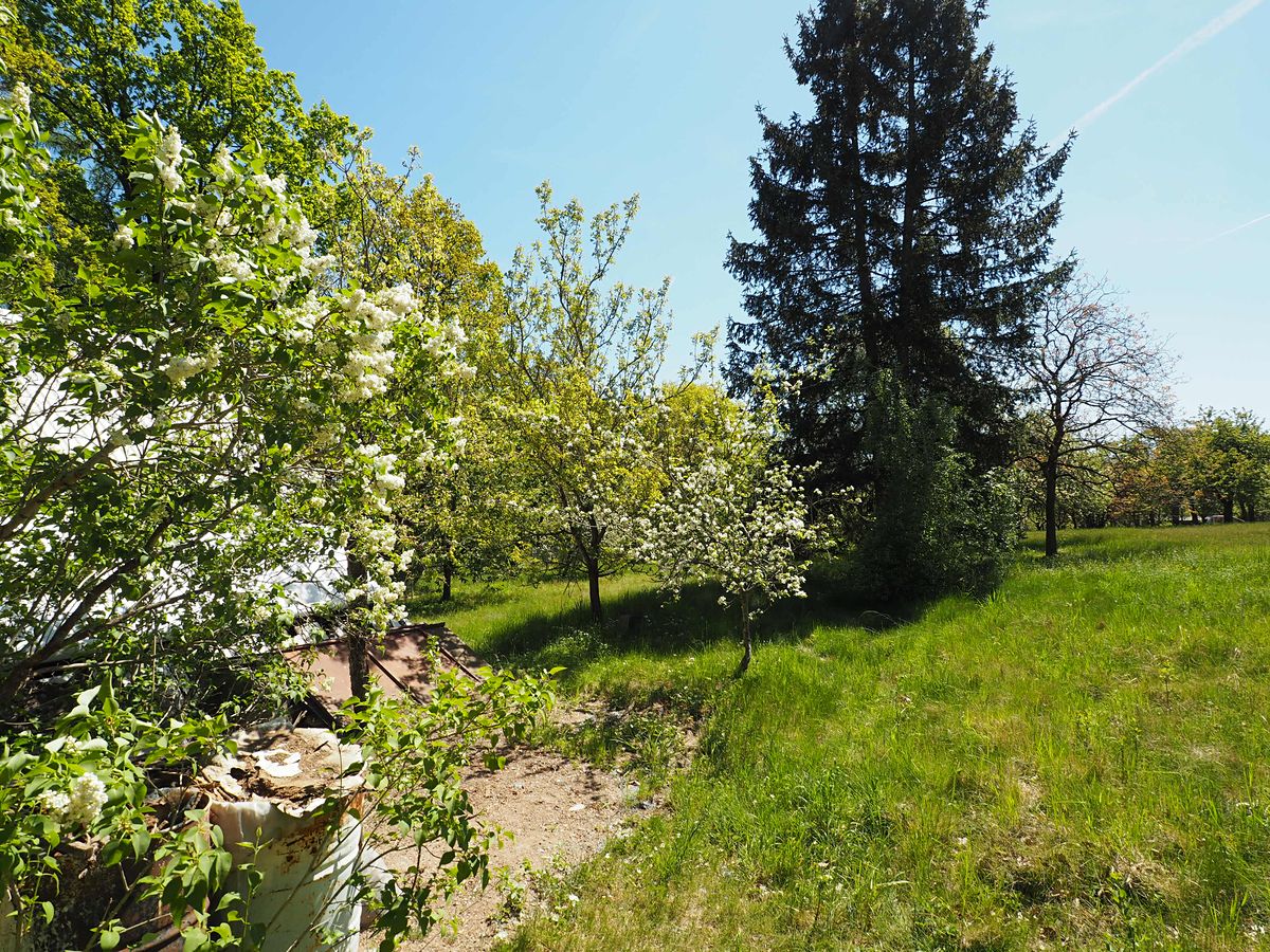 Prodej chaty 34 m², pozemek 908 m² – fotografie 3