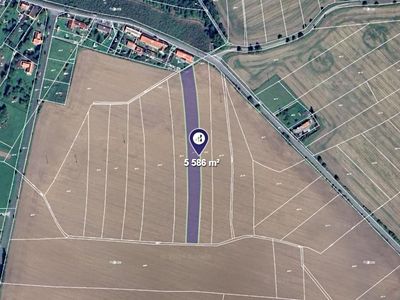 Prodej pole 5586 m²