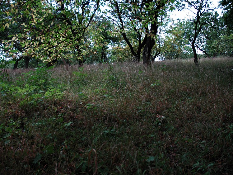 Prodej pozemku, 982 m² (12 z 21)