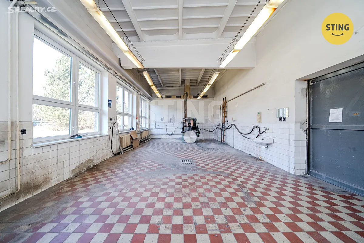 Pronájem komerční nemovitosti 556 m² - Widok 6