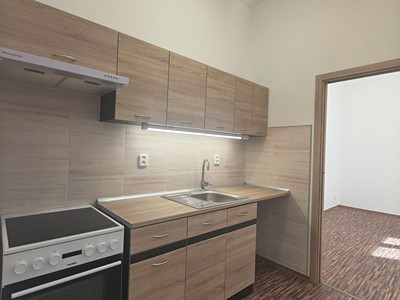 Pronájem bytu 1+1 42 m² (Jednopodlažní)