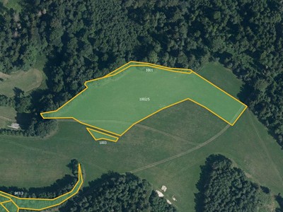 Prodej  louky 100 708 m² — photo 2