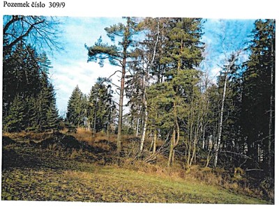 Prodej pozemku, 21 716 m² (2 z 6)
