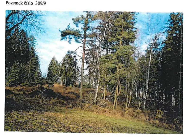 Prodej lesa 21716 m², Ždírec nad Doubravou – náhled fotky 2