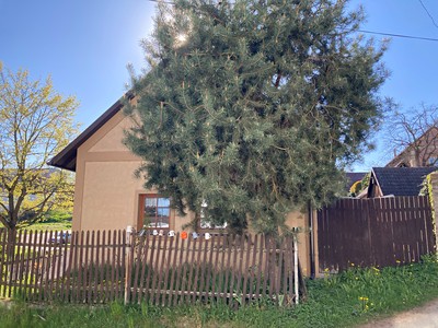Prodej  rodinného domu 96 m², pozemek 305 m² — photo 2