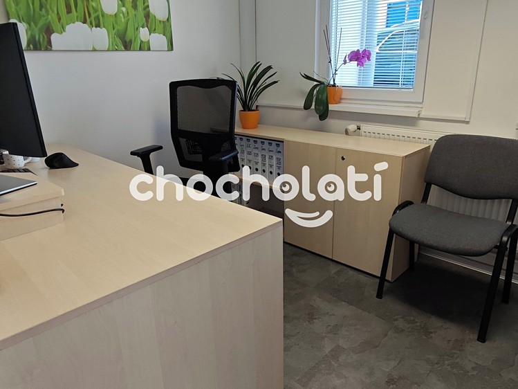 Pronájem komerčního prostoru, 157 m² (23 z 47)