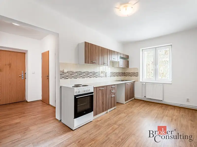 Prodej bytu 1+1 41 m², Ostrava – náhled fotky 1
