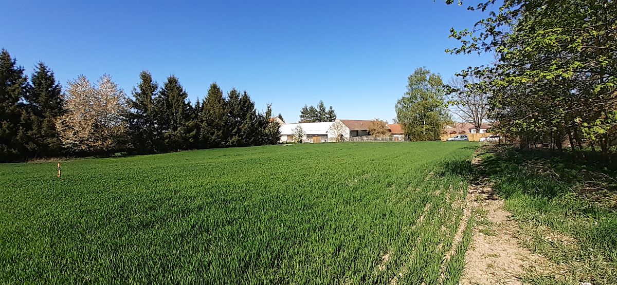 Prodej stavebního pozemku 1153 m² – fotografie 3