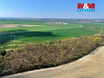 Prodej  lesa 4 629 m² — photo 3