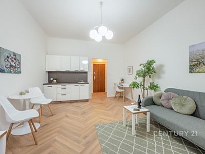 Pronájem bytu 1+kk 25 m²