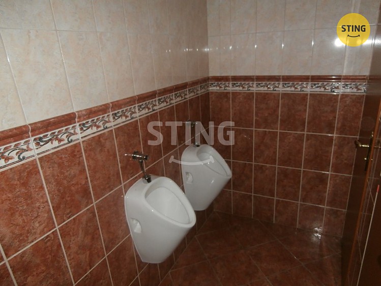 Комерційне приміщення в оренду, 412 м² (9 з 32)