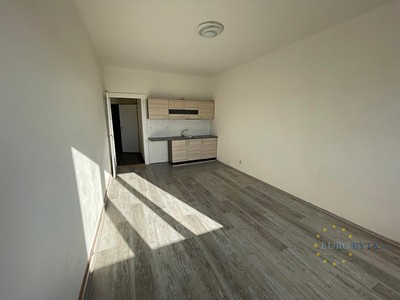 Pronájem bytu 1+kk 35 m²