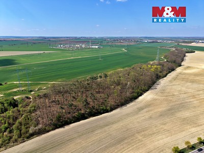 Prodej  lesa 4 629 m² — photo 5