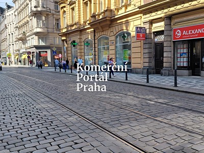 Pronájem obchodního prostoru 273 m²