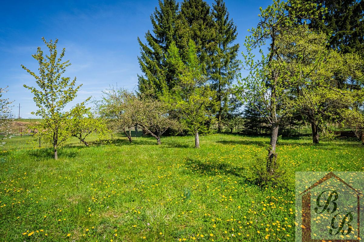 Property photo 33